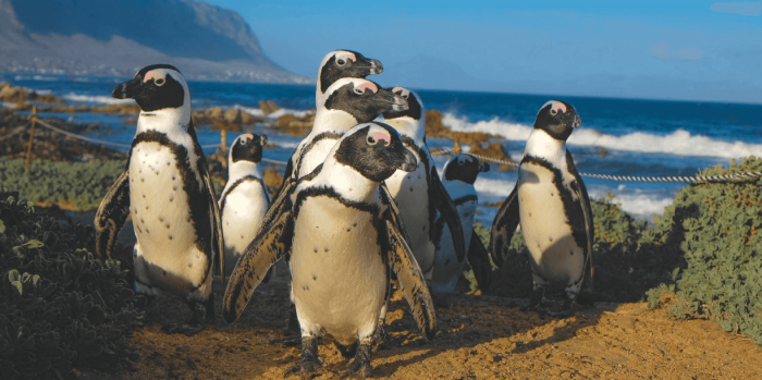 6 types bordspelspelers die ook jij in je vriendengroep hebt