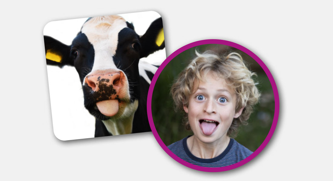 Na-apen kaartspel sfeerfoto