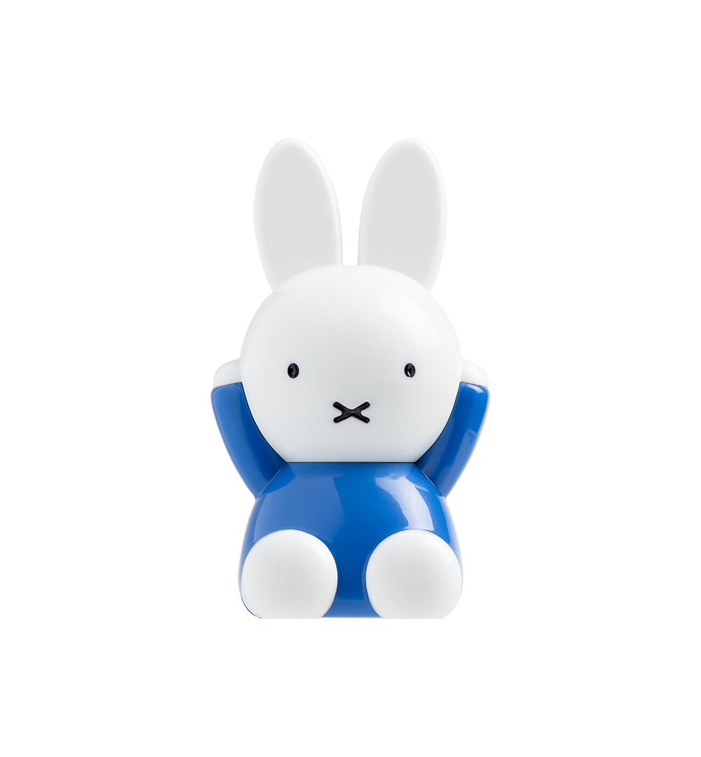 Nijntje Kiekeboe spelonderdeel